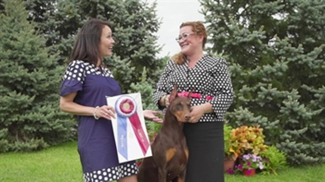 Road to Westminster (RTW): Ladies Kennel Assoc. of Am. Best In Show