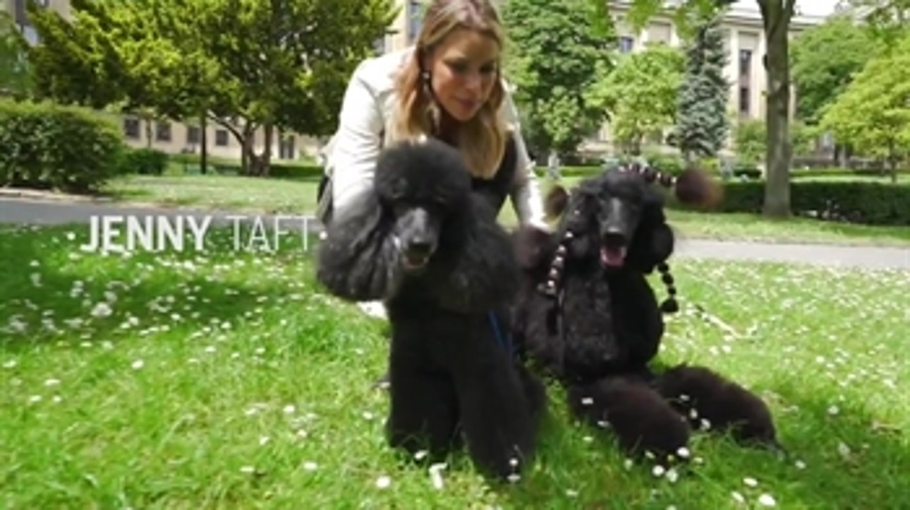 Jenny Taft gets to know some French poodles at the 2019 FIFA Women's World Cup™