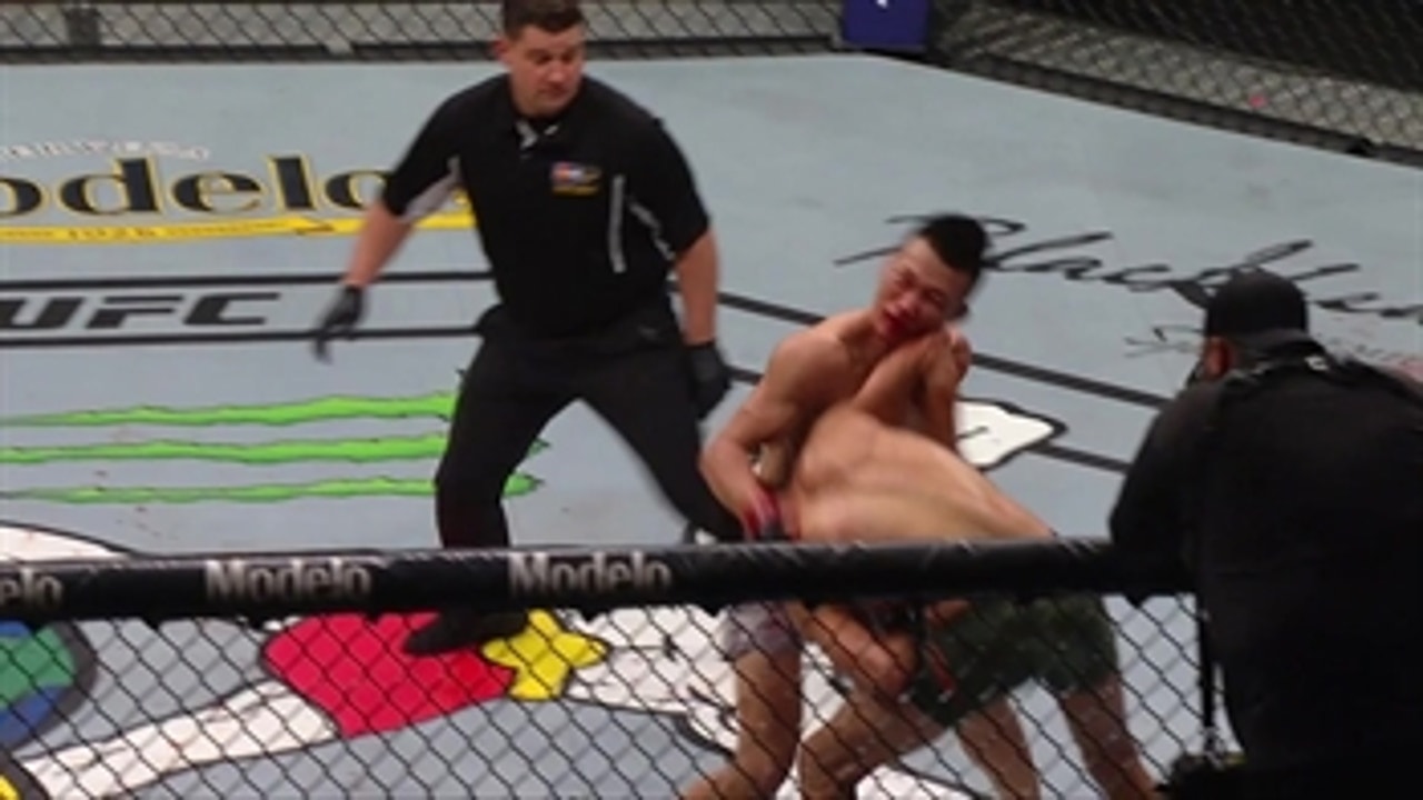 Yair Rodriguez KO's Chan Sun Hung ' HIGHLIGHTS ' UFC FIGHT NIGHT