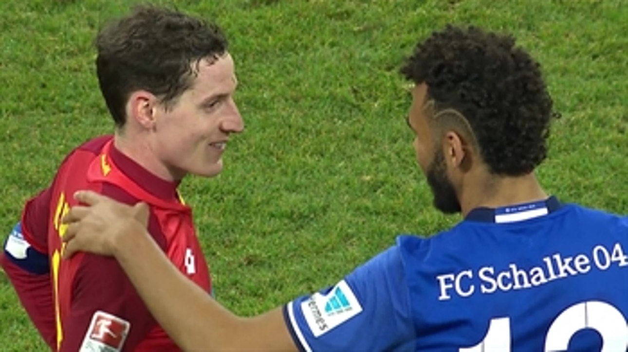 FC Schalke 04 vs. 1899 Hoffenheim ' 2016-17 Bundesliga Highlights