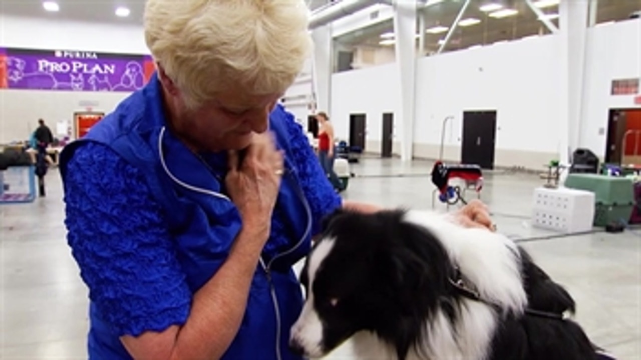 Road to Westminster (RTW):  Agility Dog Owner Bonnie Buchanan