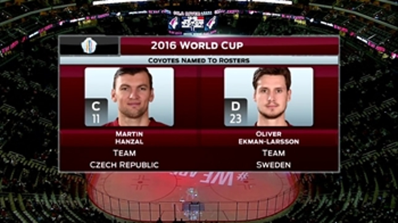 World Cup for OEL and Hanzal