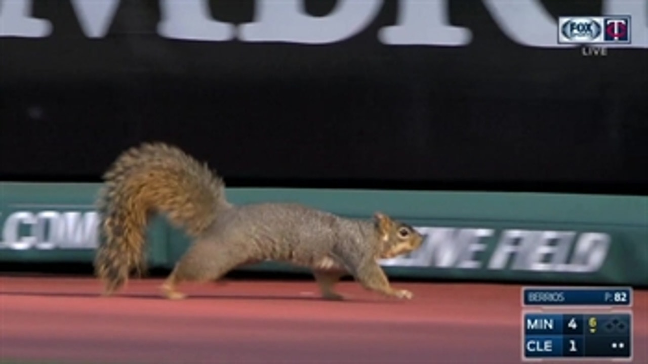 WATCH: Squirrel postpones baseball game in Cleveland