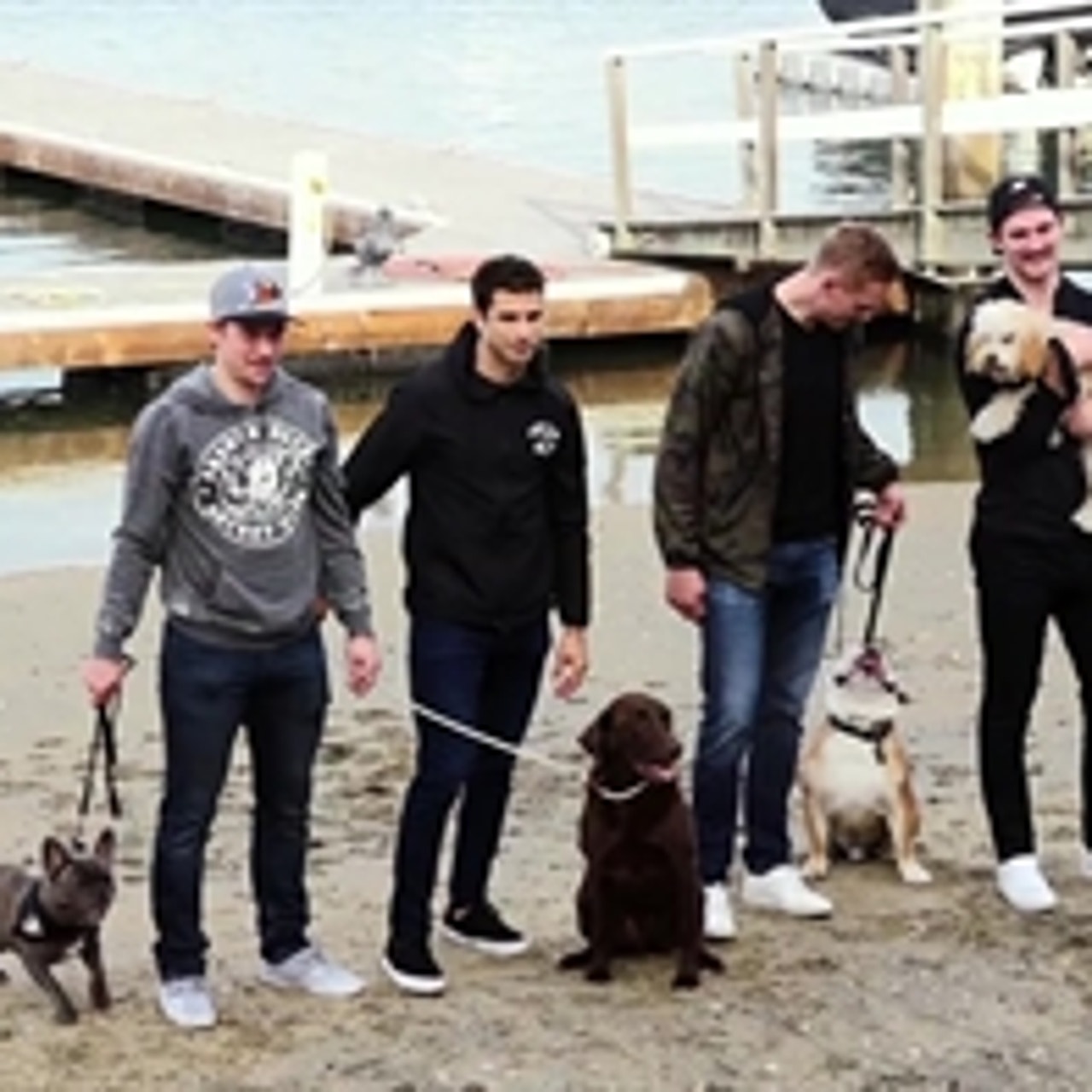  Pets First NHL New York Islanders Leash for Dogs