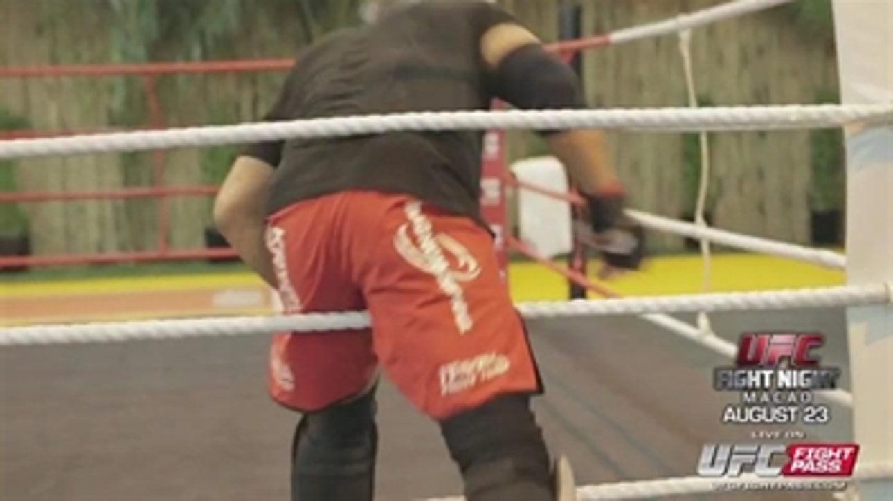 UFC On The Fly: Bisping vs. Le