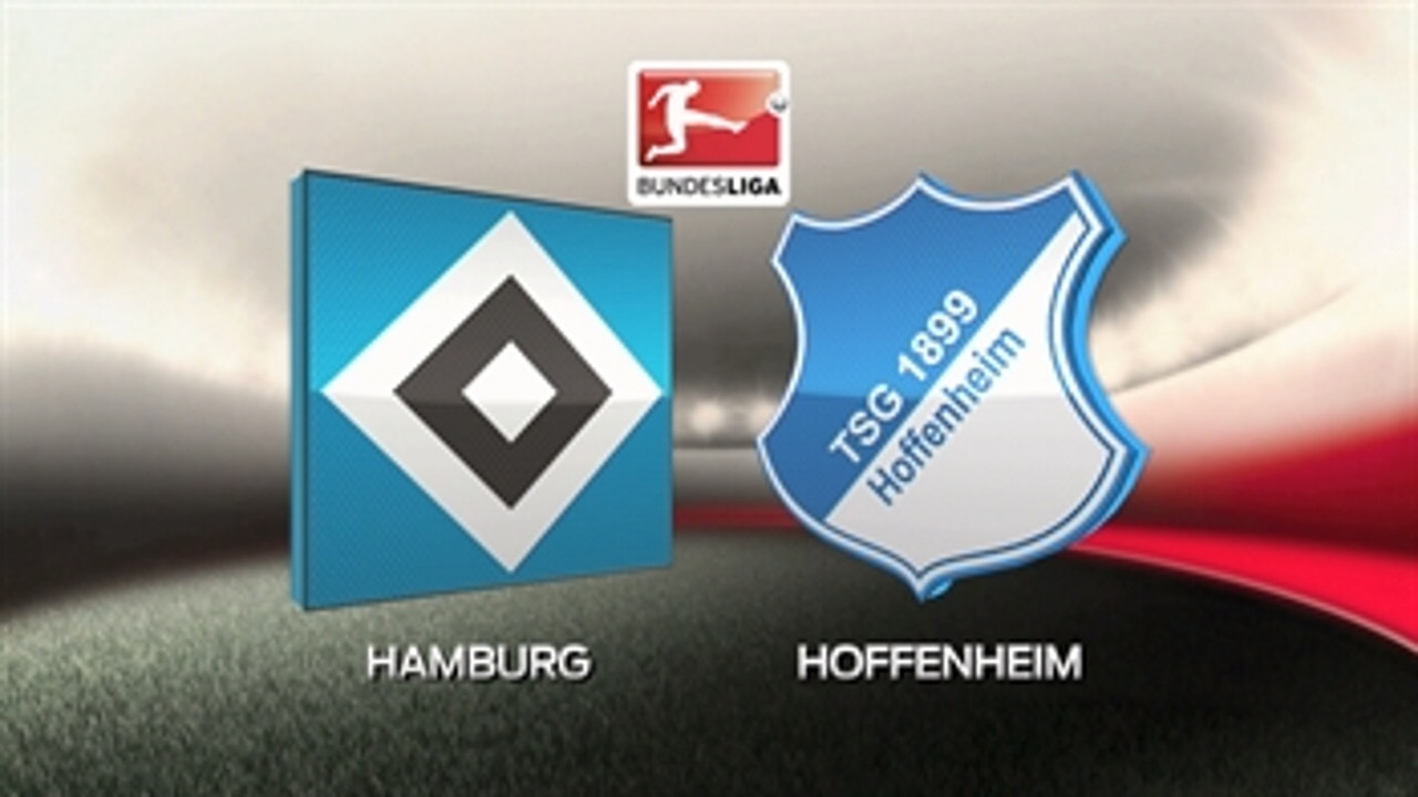 Hamburger SV vs. 1899 Hoffenheim ' 2015-16 Bundesliga Highlights