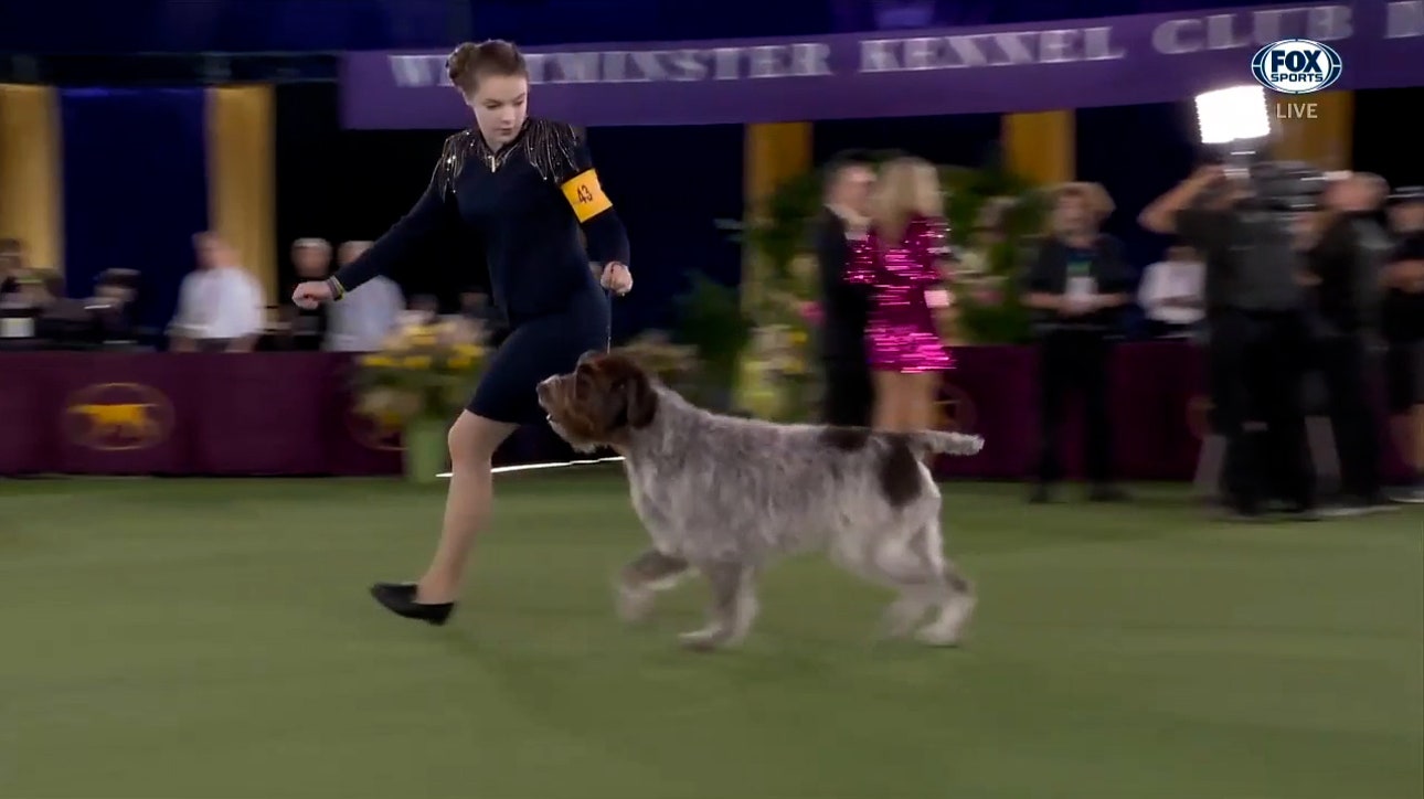 Lily Bennett wins 2021 Junior Showmanship Award at the Westminster Kennel Club Dog Show