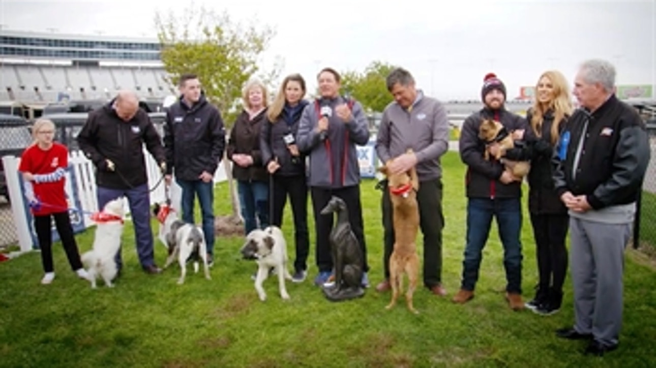 Nationwide Insurance takes part in the 'Chase for the Pup' at Texas Motor Speedway