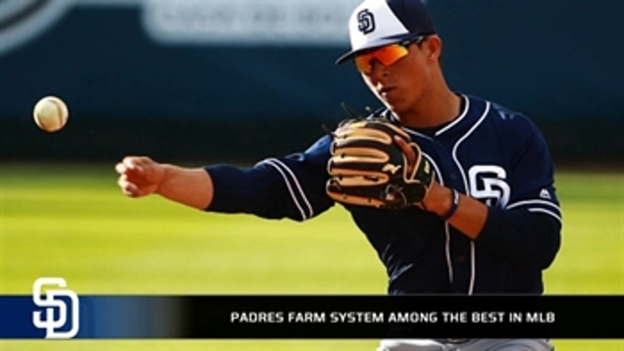 The Padres' farm system is among the best heading into spring training