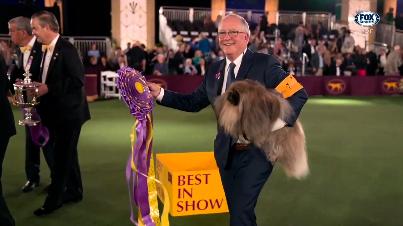 Wasabi, the Pekingese, crowned Best in Show at 145th Westminster Kennel Club Dog Show