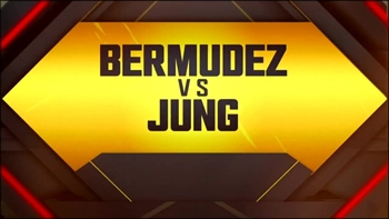 Dennis Bermudez vs. Chan Sung Jung ' Preview ' UFC ON FOX