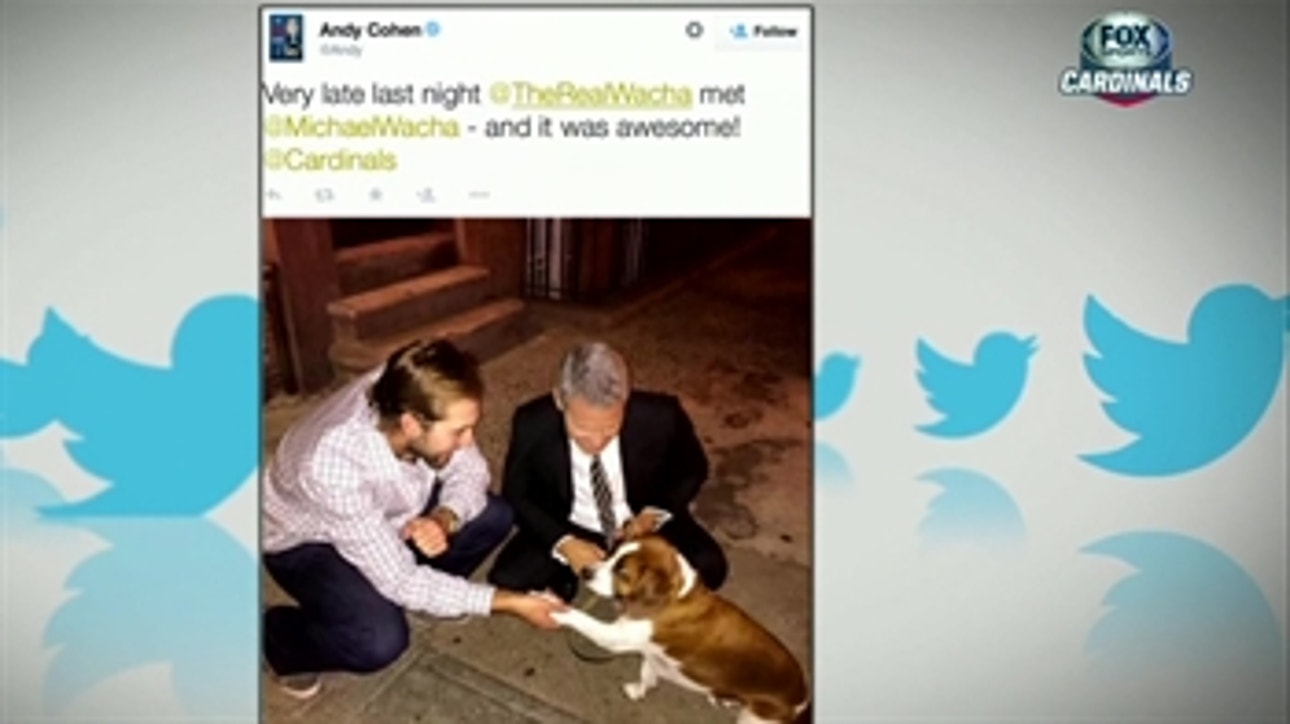 Wacha finally gets to meet Andy Cohen's dog, Wacha