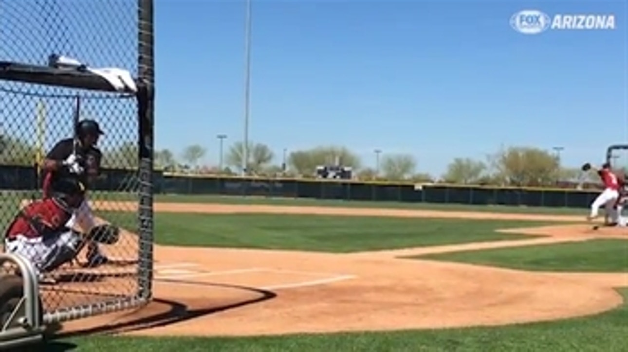 Greinke faces hitters for first time this spring