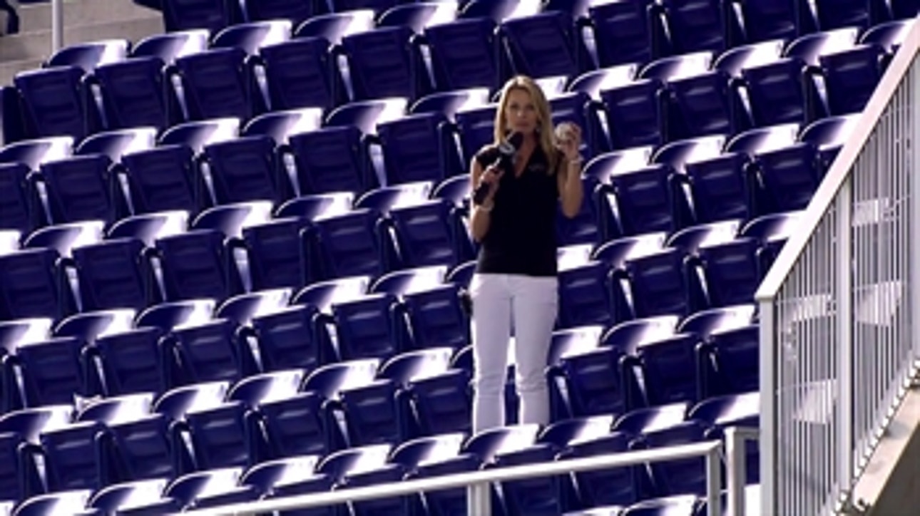 Jody Jackson's intrepid foul ball quest