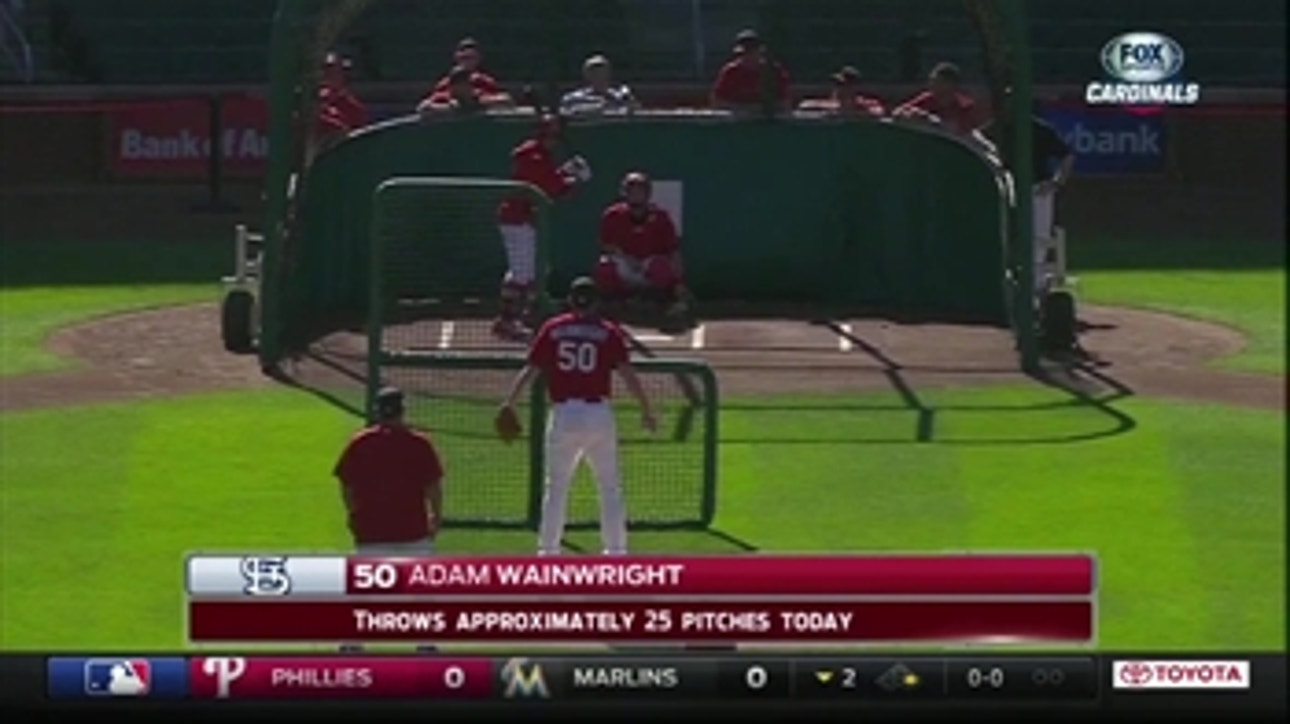 Cardinals' Wainwright pitches sim gam