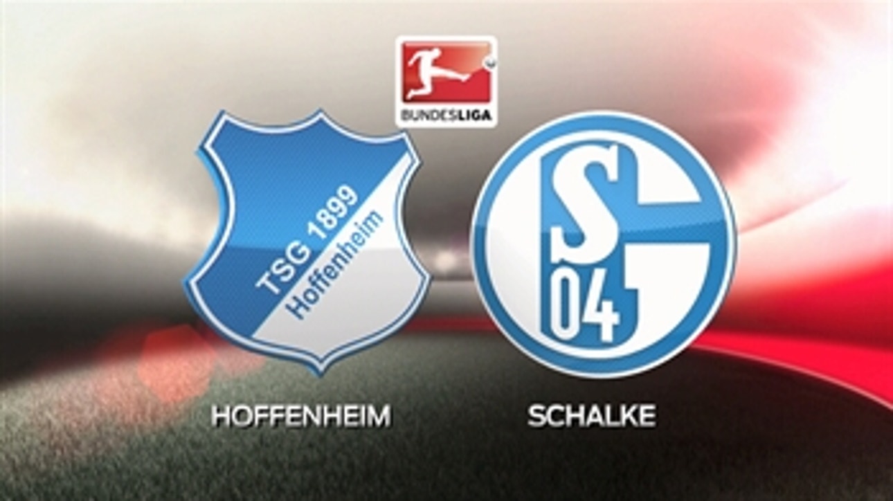 1899 Hoffenheim vs. FC Schalke 04 ' 2015-16 Bundesliga Highlights