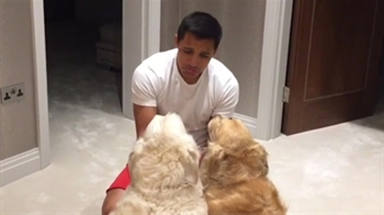 Alexis Sanchez really loves his dogs