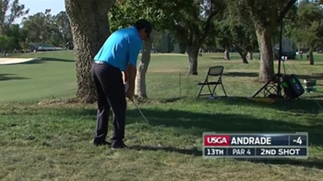 Billy Andrade hits tree that's right in front of him - 2015 U.S. Senior Open Highlights