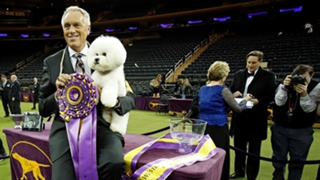 The Westminster Kennel Club Dog Show is coming back to FS1!