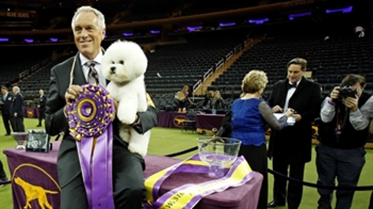 The Westminster Kennel Club Dog Show is coming back to FS1!