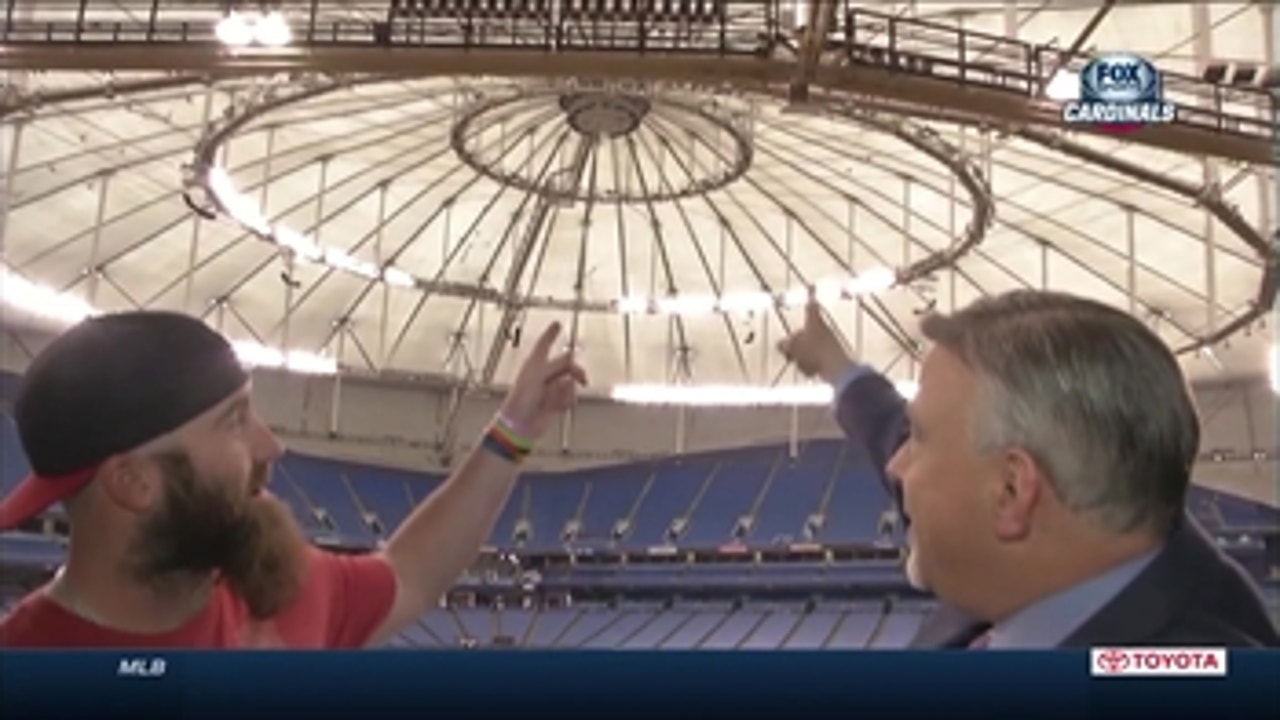 The Cat and Motte denied tour of the Trop