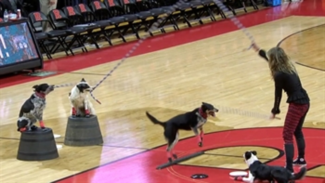 Dog Double Dutch at halftime of No. 21 Iowa at Rutgers