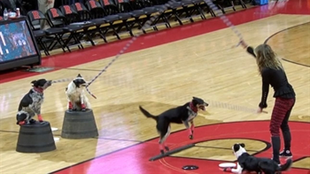 Dog Double Dutch at halftime of No. 21 Iowa at Rutgers
