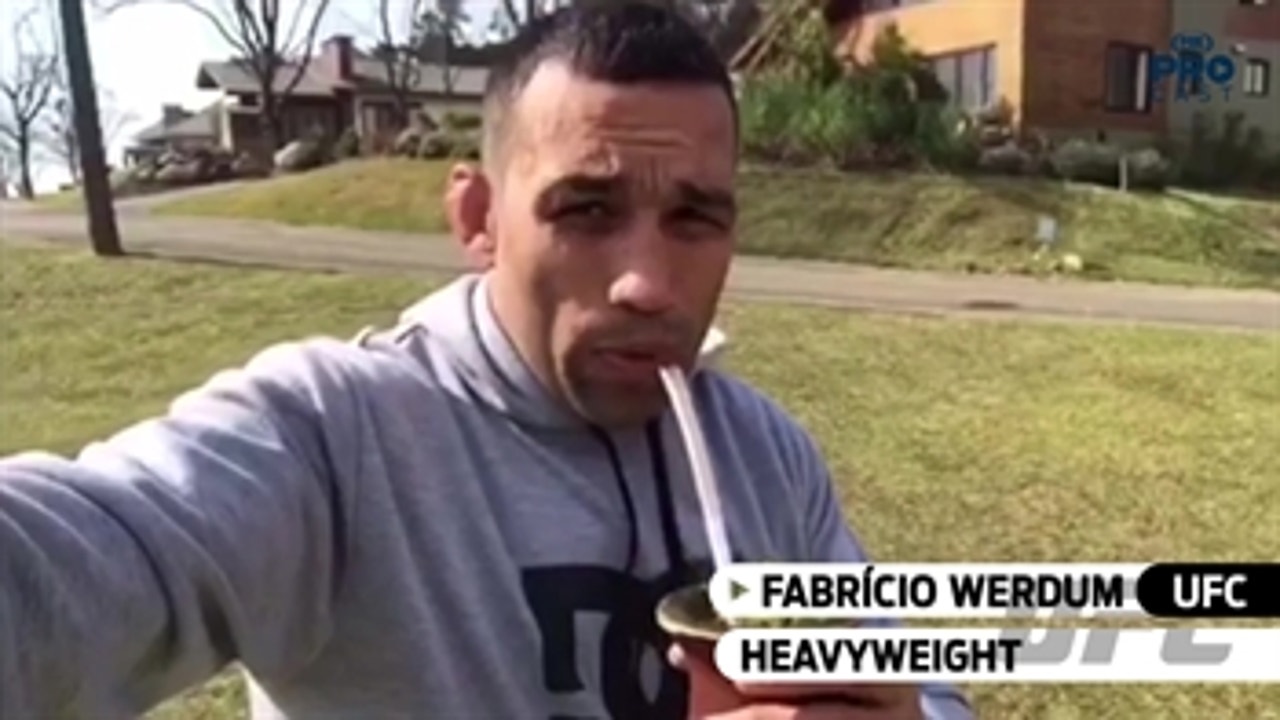 Fabricio werdum heavyweight champion Brasil
