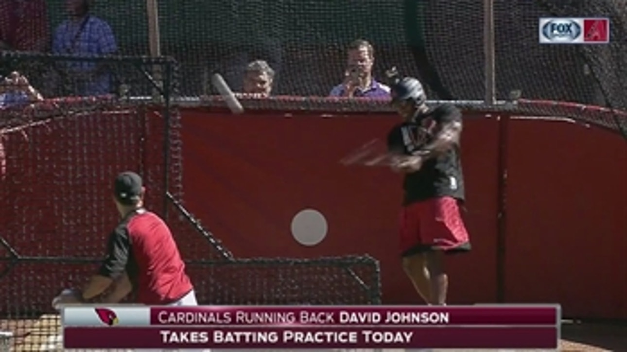 David Johnson 'muscles' up in D-backs batting practice