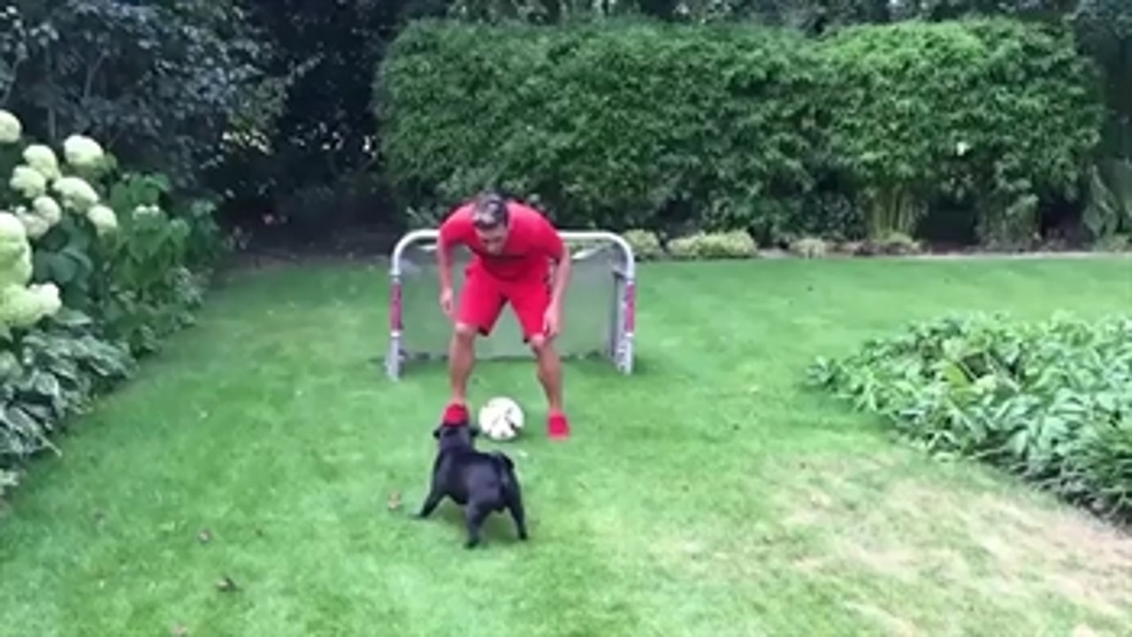 Mesut Ozil has a kickaround with his dog