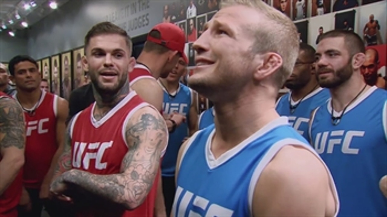 Dillashaw and Garbrandt get into another war of words ' THE ULTIMATE FIGHTER