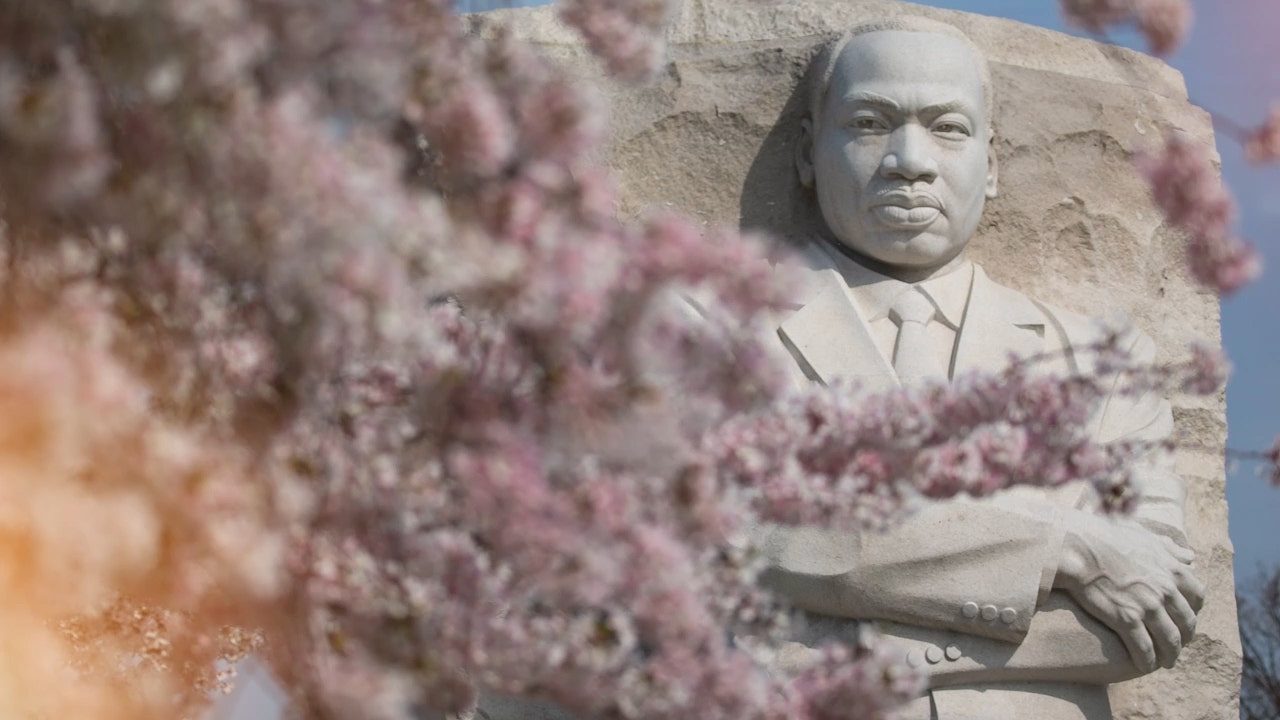 Curt Menefee provides perspective on Dr. Martin Luther King Jr.'s enduring legacy ' FOX VOICES