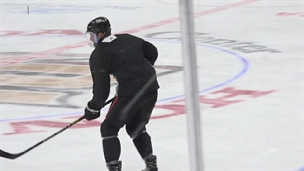 Cam Fowler, Rickard Rakell, & Patrick Eaves all skating with the Ducks