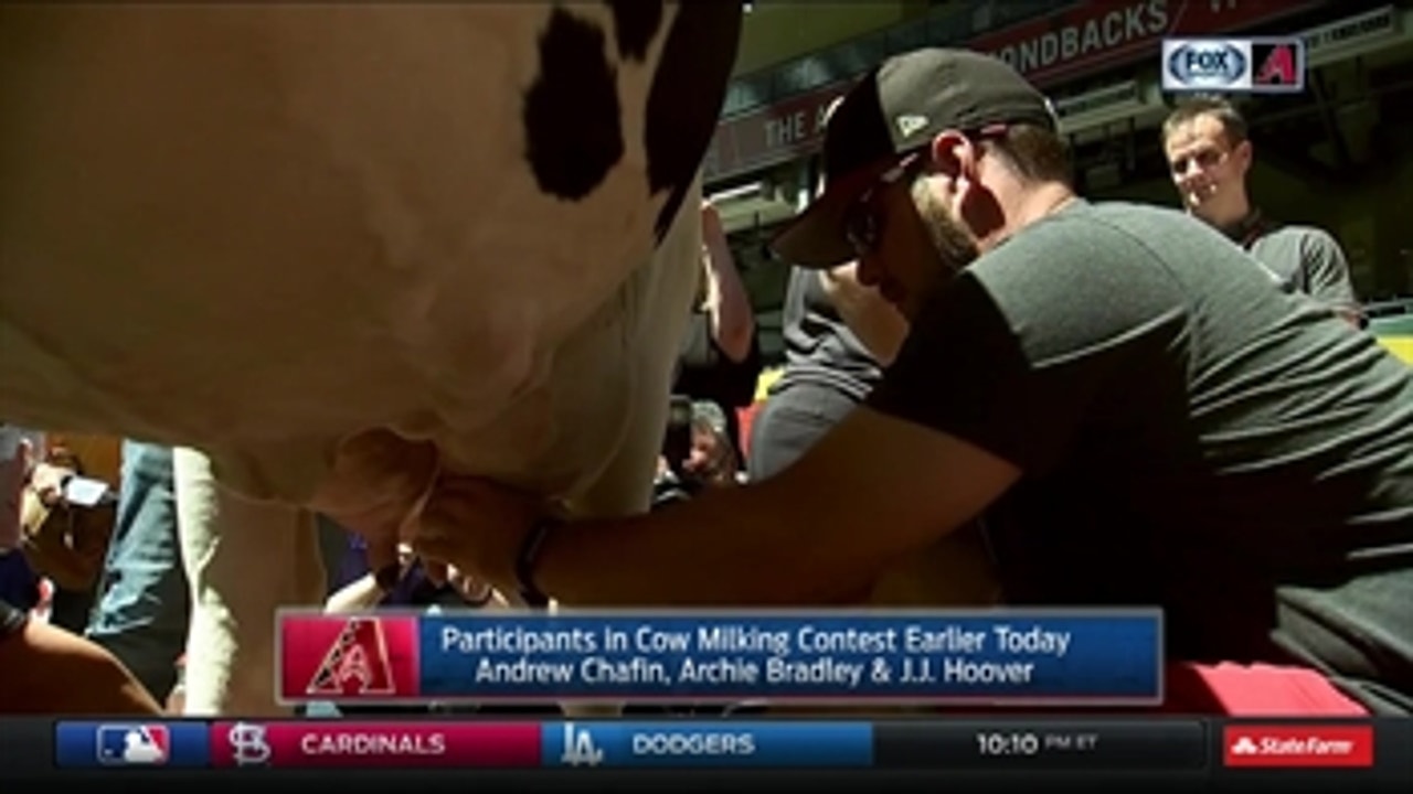 Udder chaos at Chase Field