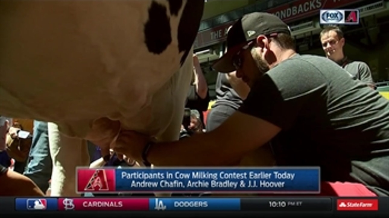 Udder chaos at Chase Field