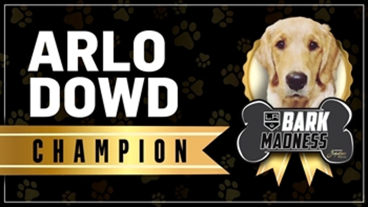 Kings Live: Arlo Dowd wins Bark Madness