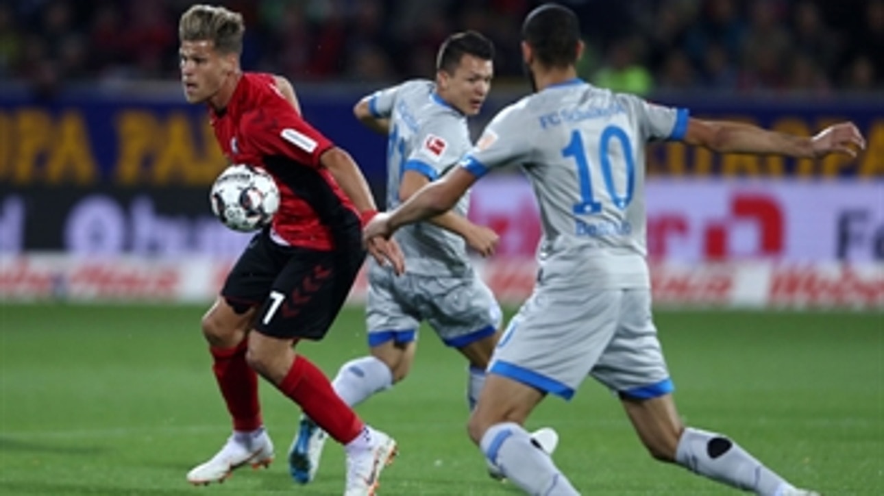 SC Freiburg vs. Schalke 04 ' 2018-19 Bundesliga Highlights