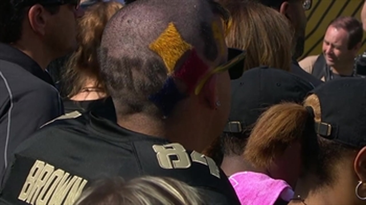 A Steelers fan has blessed us with the greatest haircut in sports