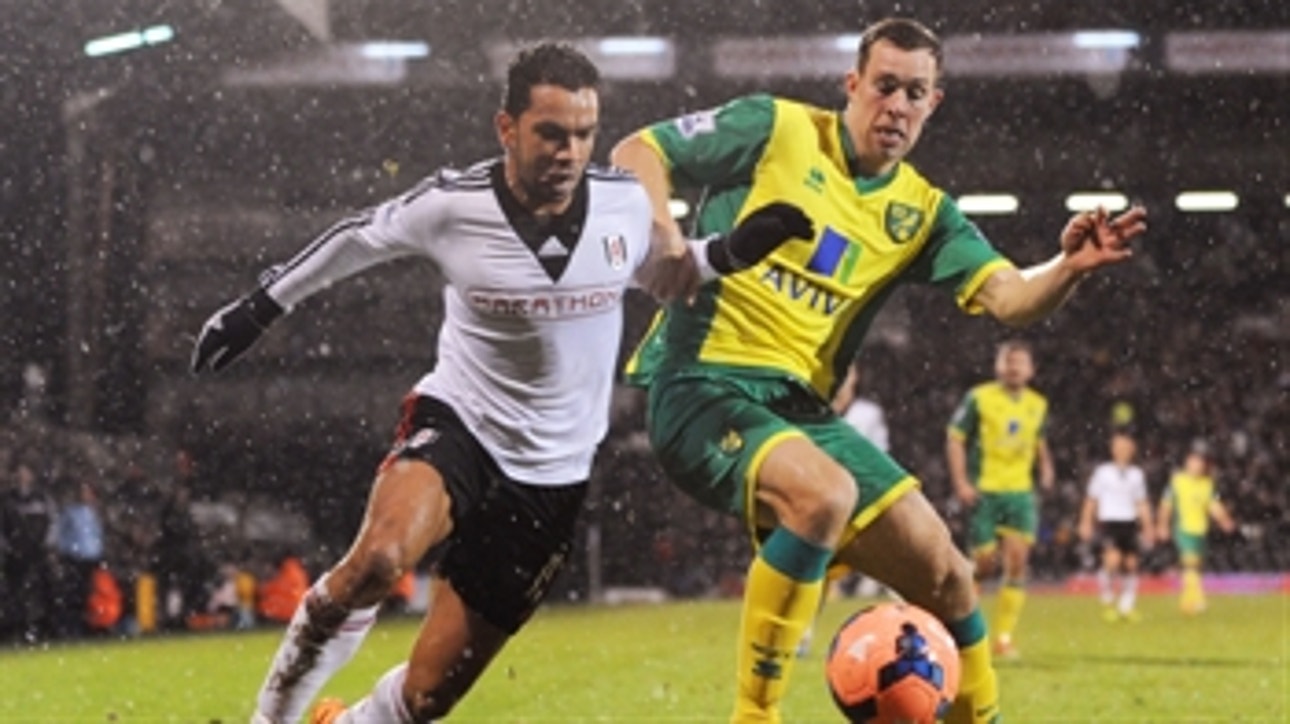 Fulham v Norwich City FA Cup Highlights 01/14/14