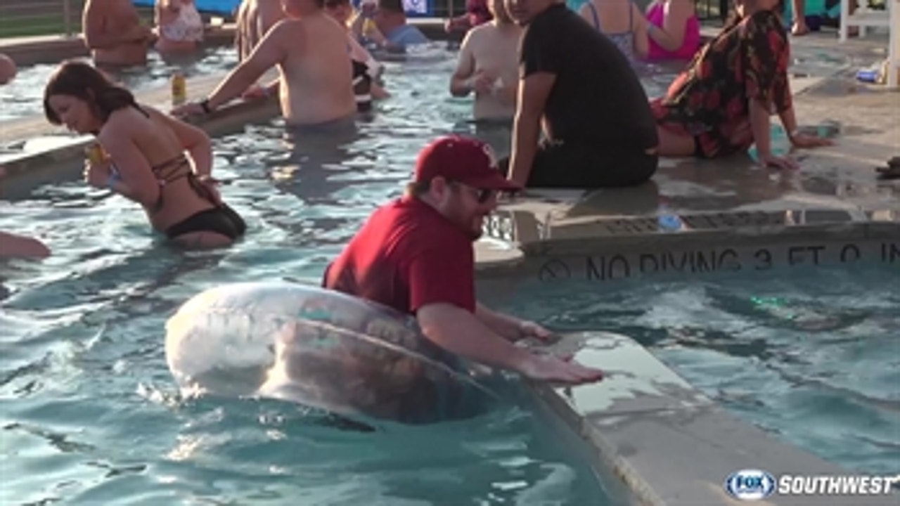 Kaime & Grubes at the RoughRiders' 'Party at the Yard' | The Dose