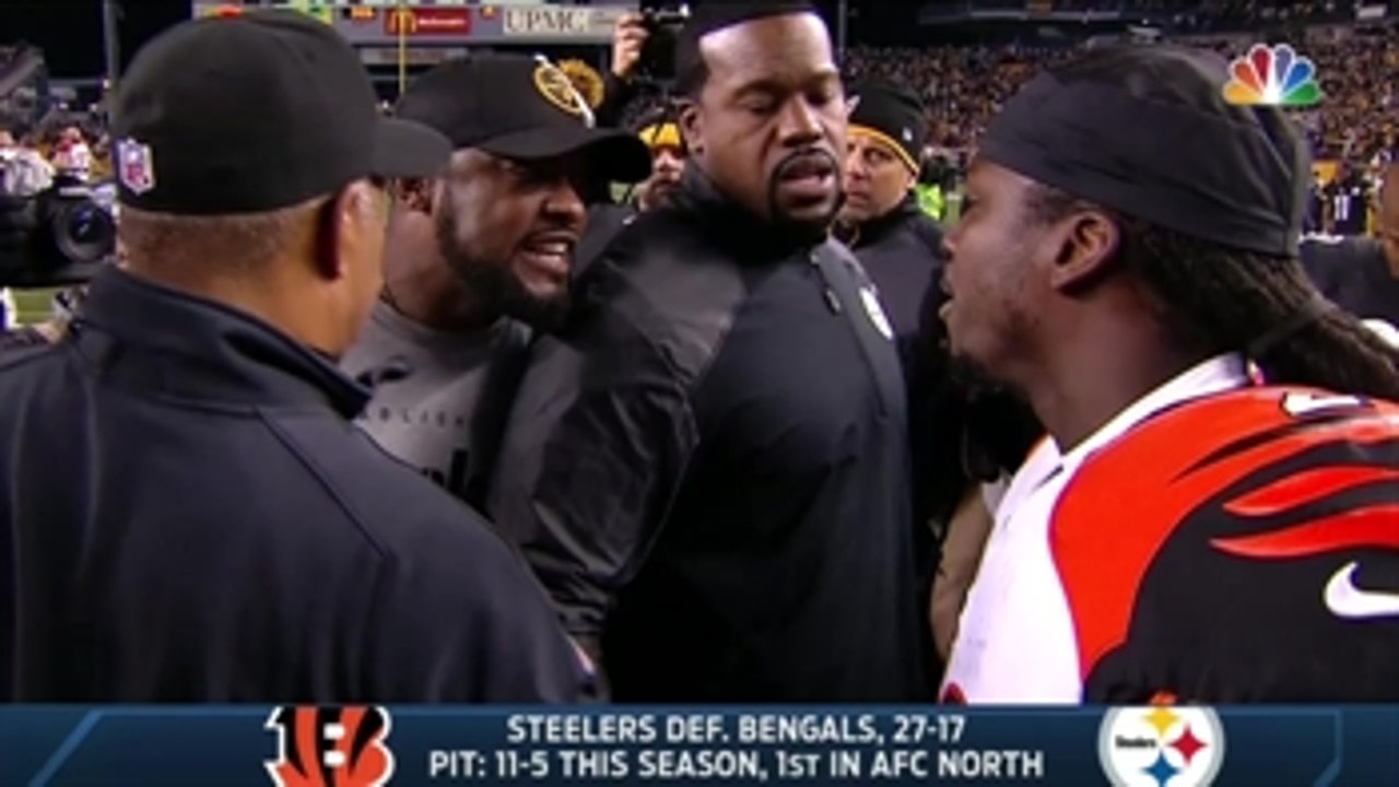 Tomlin argues with Cincinnati's Nelson after Bell's injury