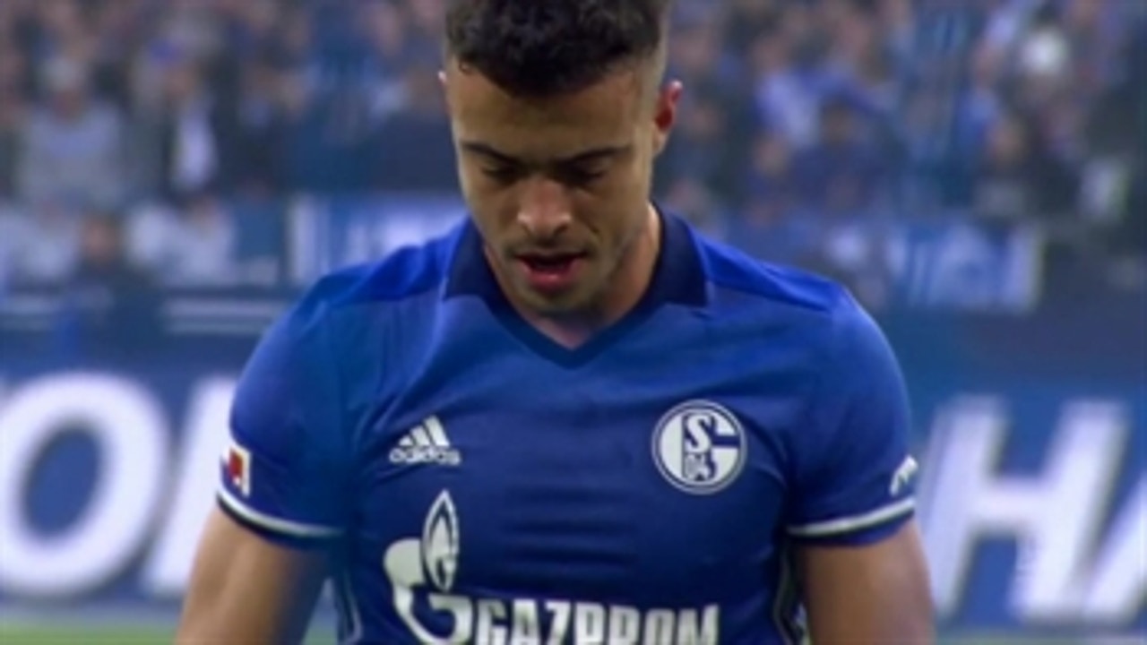 Schalke 04 vs. Hamburg SV | 2017-18 Bundesliga Highlights