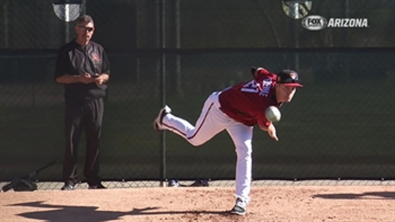 Zack Greinke has high hopes for 2017