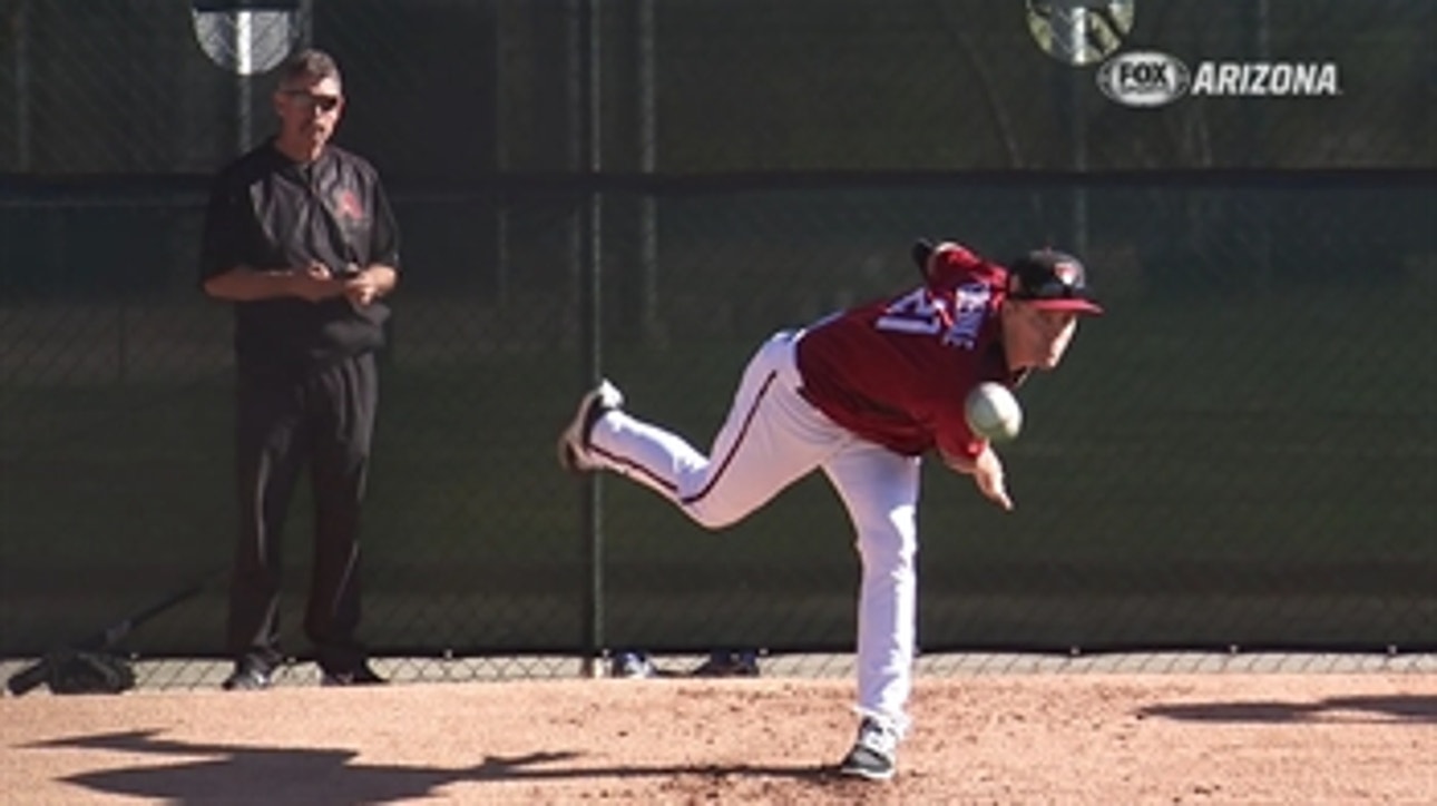 Zack Greinke has high hopes for 2017