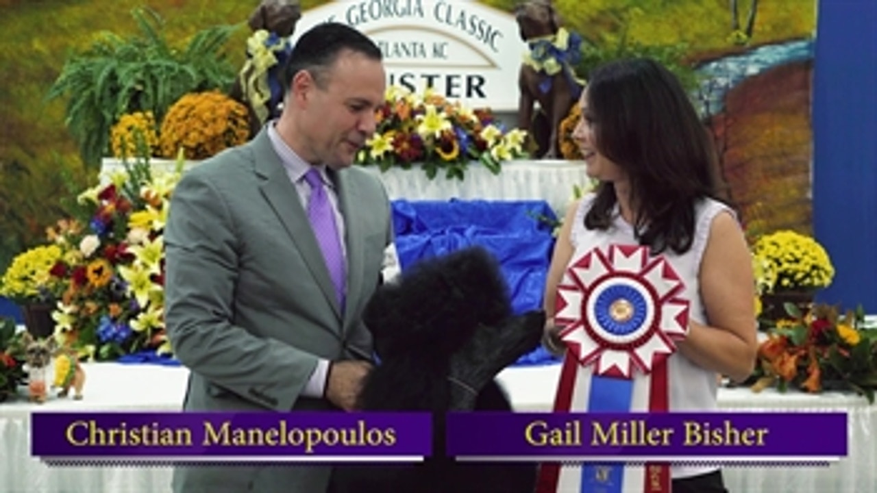 Road to Westminster (RTW) Best in Show Winner: Christian Maneloupoulos
