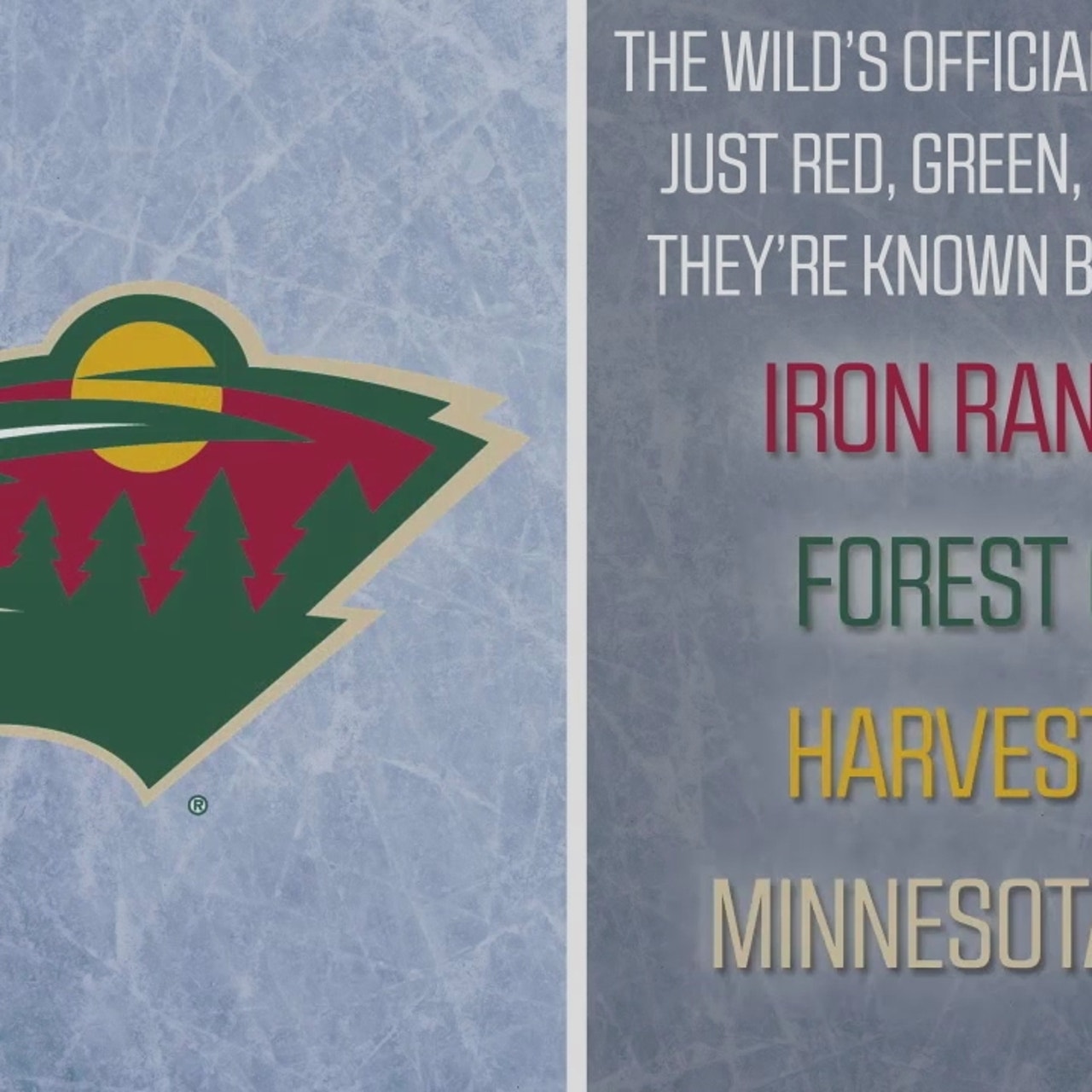 Minnesota Wild Facts for Kids