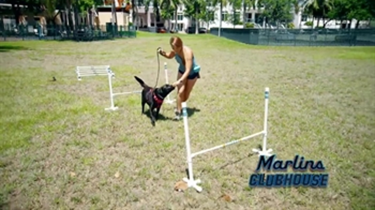 Newest episode of 'Marlins Clubhouse' lets the dogs out