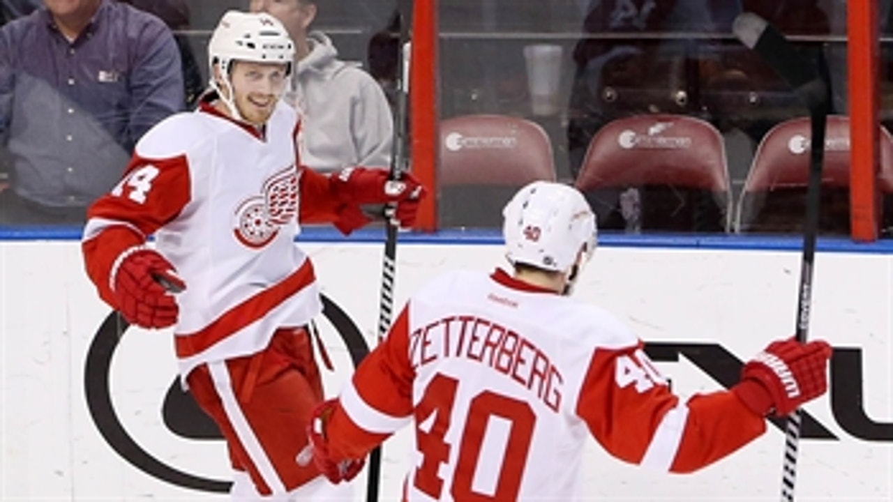 Red Wings rise above Panthers