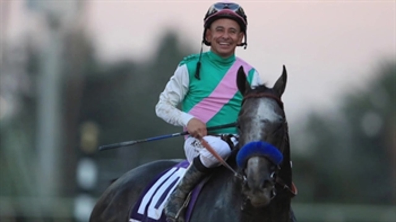 Meet one of the top horses in the world, Arrogate