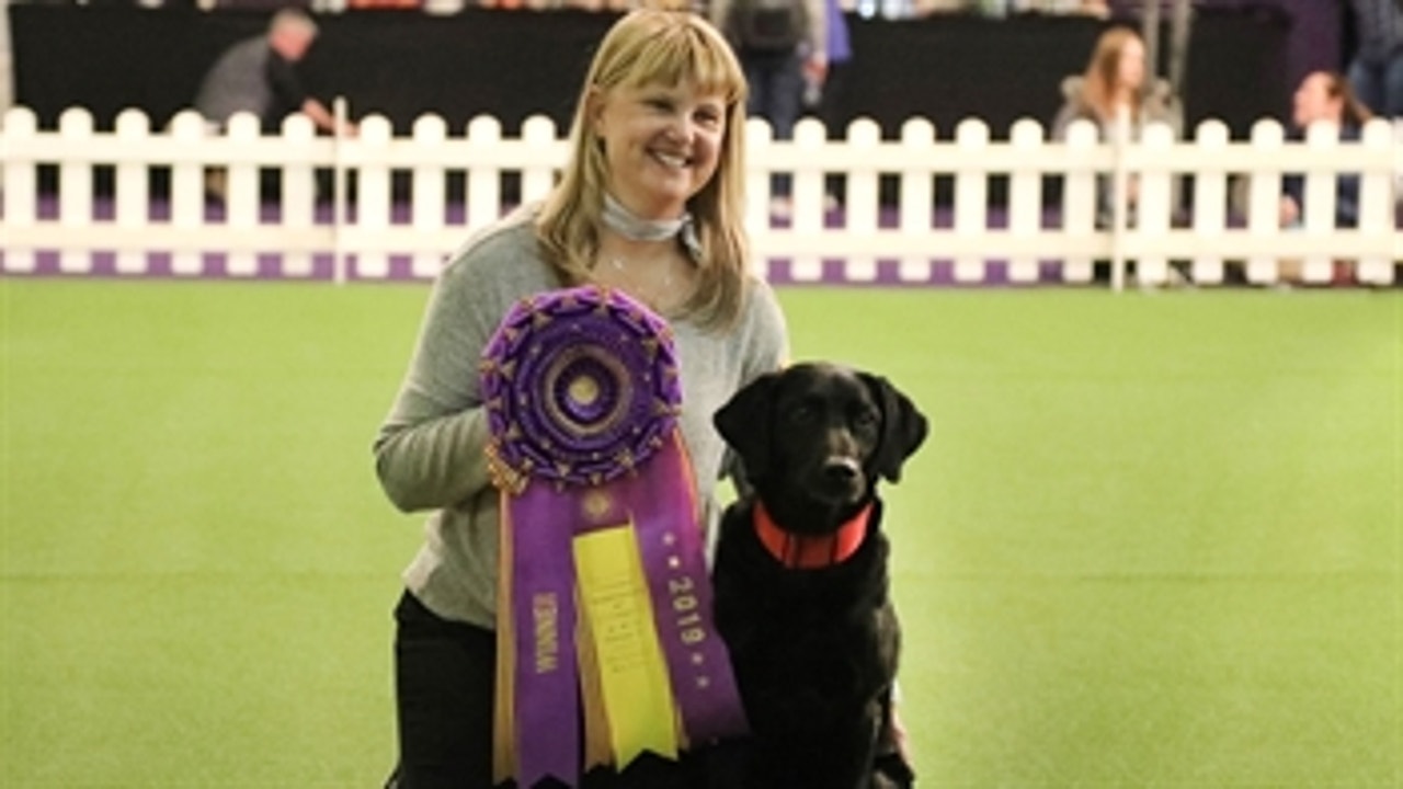 Watch 'Heart' the black lab win the Masters Obedience Championship for the fourth consecutive year